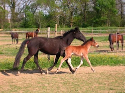 Bébé 2007 132