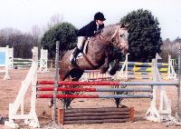 MEMPHIS 2005 pibrac
